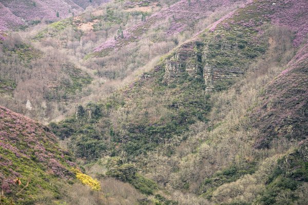 Comment structurer un plan de succession pour les dirigeants d'une petite entreprise?